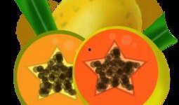 吃瓜贴纸素材下载安装免费,免费下载安装吃瓜贴纸，轻松打造趣味文章副标题