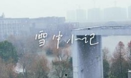 盛势第六集在线观看,风云变幻，暗流涌动